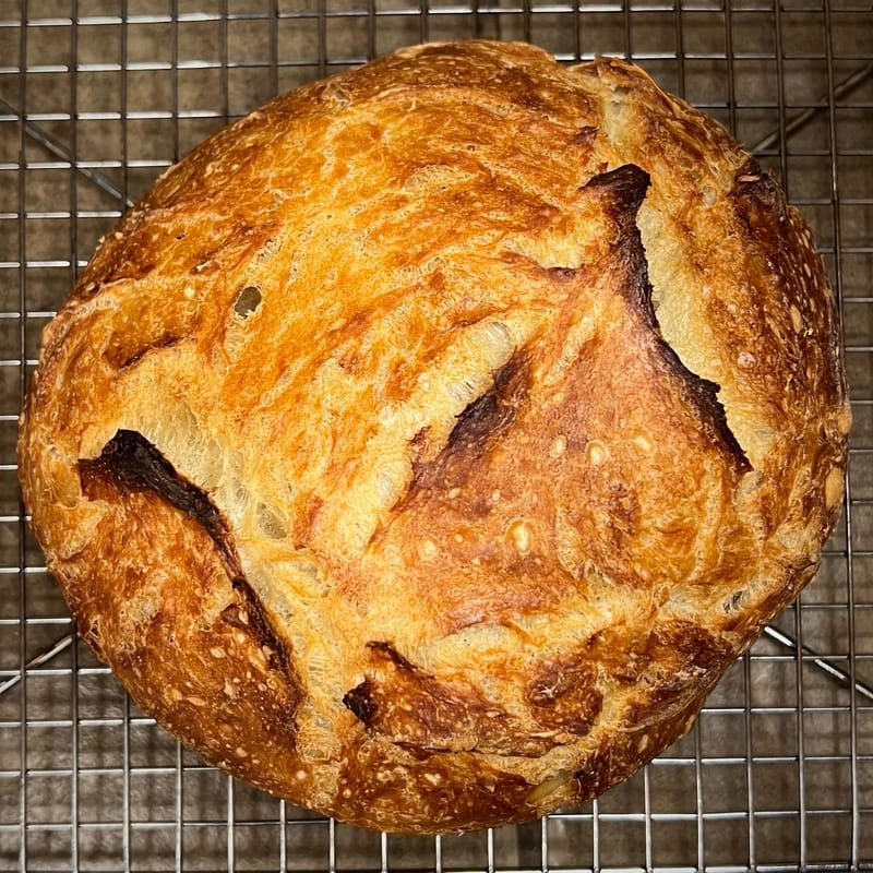 First loaf in my new Cast Iron Dutch Oven courtesy of @barebonesliving