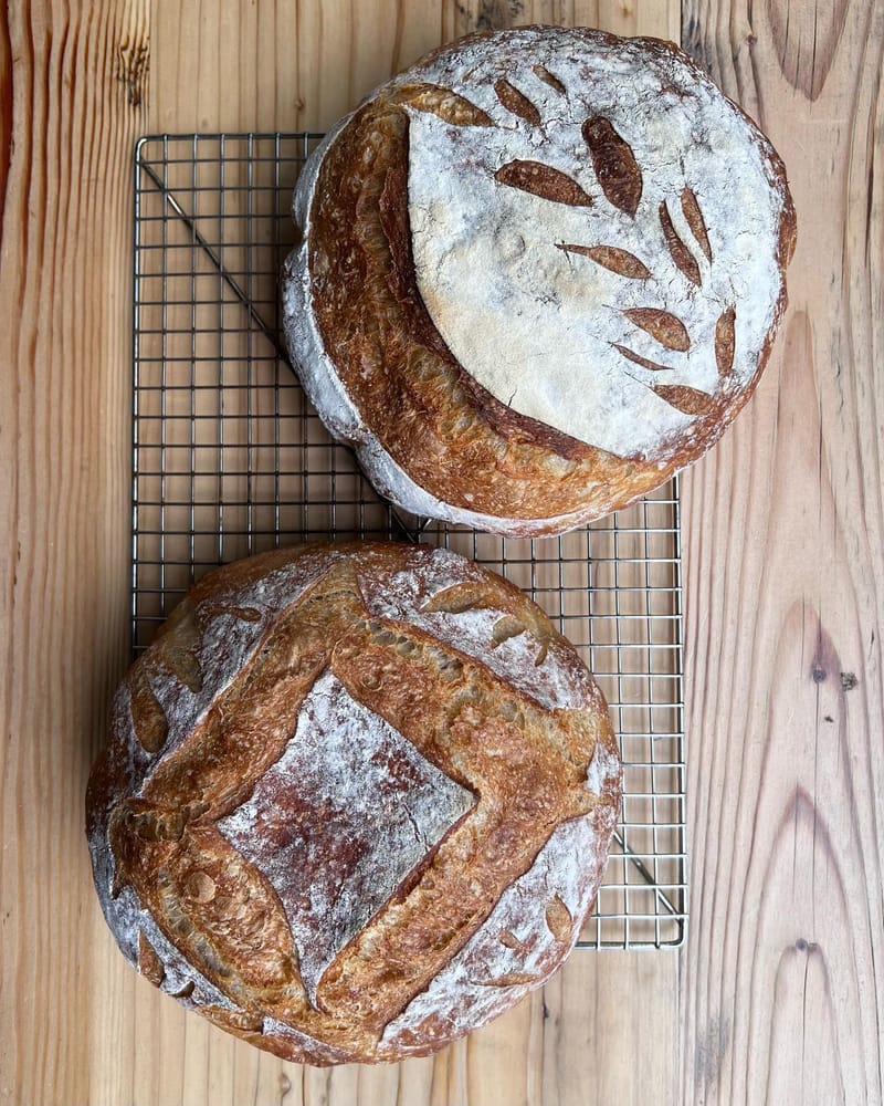 Made two loaves of my no knead with cold proof bread. One white and one 12.5% wheat. I couldn’t get crumb shots as they were…