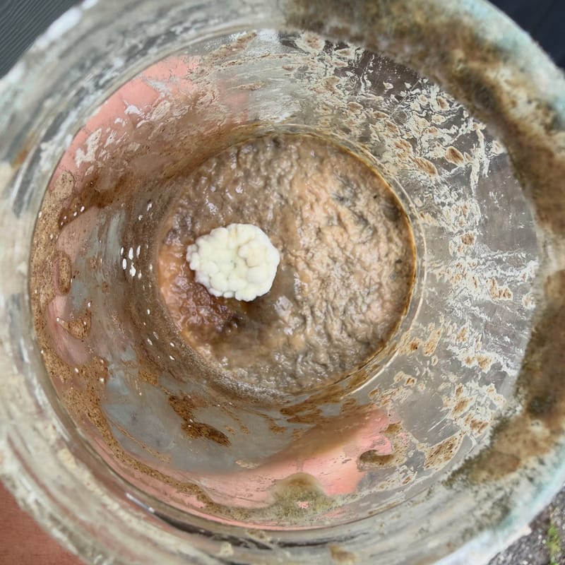 This is what happens when you forget to put your sourdough starter in the fridge for a couple of weeks. Luckily, I have a…