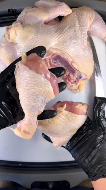 When removing chicken legs I like to minimize the use of my knife and pull most of it off with my hands. Not only is it…