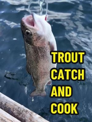 Trout Catch and Cook Today I went fishing at one of my favorite local trout lakes to decompress from the work week, chat…