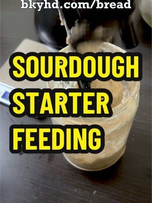 Sourdough Starter Feeding. Here’s how I feed my starter for two sourdough loaves that I will be mixing and proofing…