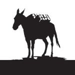 Boise Salt Co logo