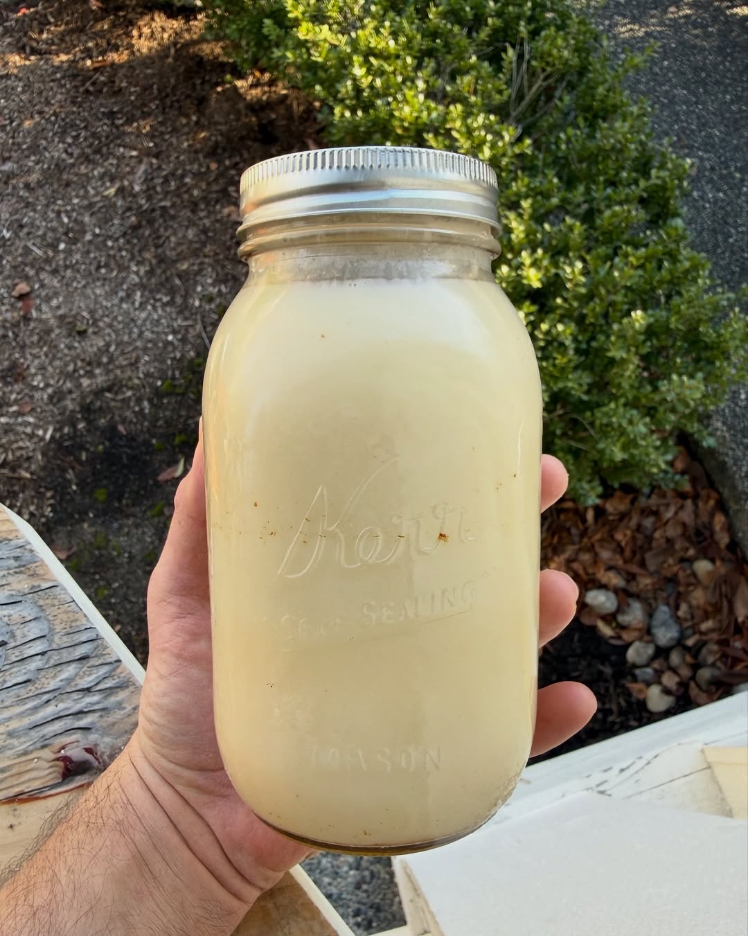Tallow yield from single brisket trim.  A jar like this goes for $10+. Use it as a general fat replacement, eggs, fries, tortillas. So much you can do with it. #bbq #brisket
