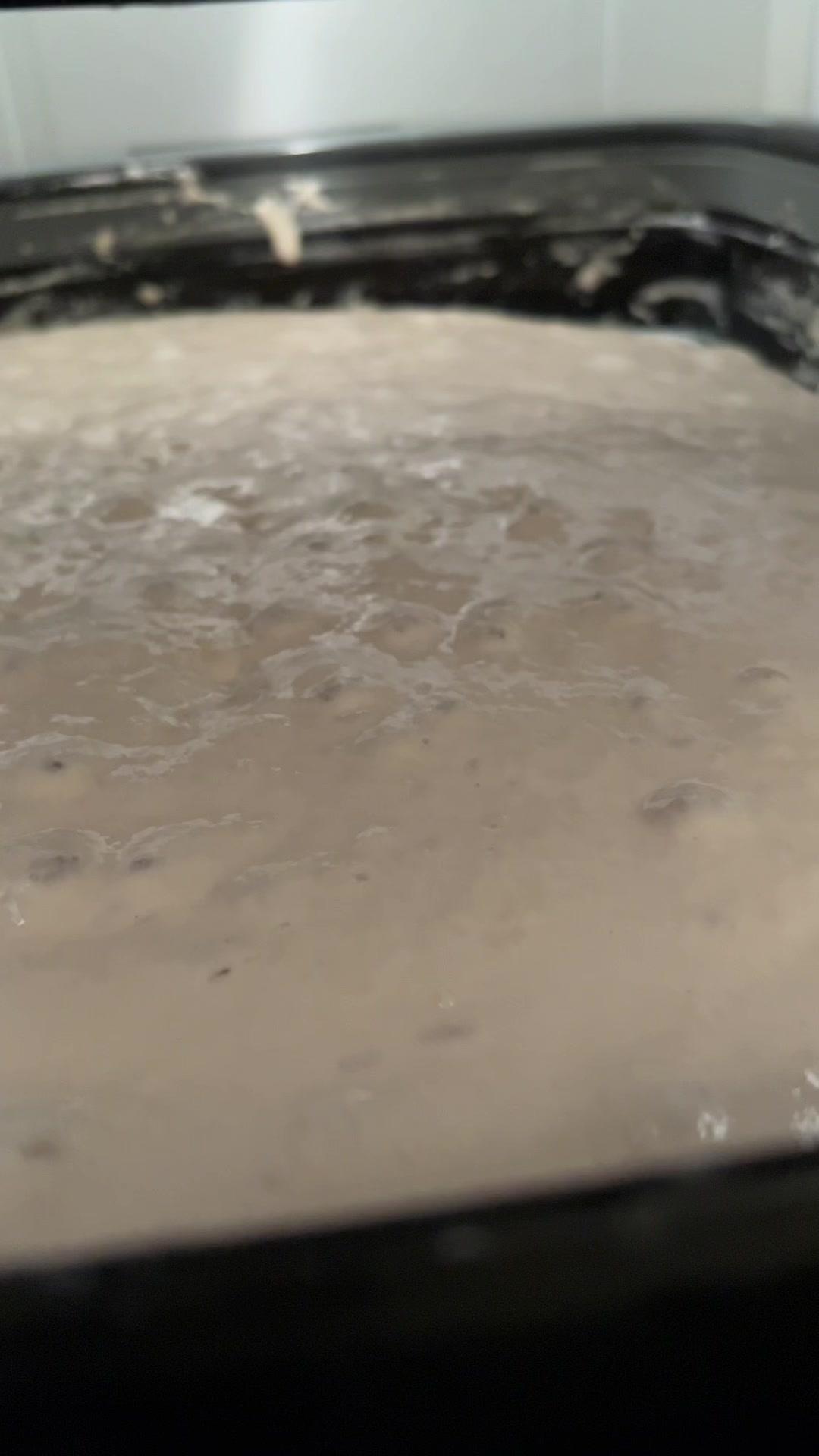 Vito's Poolish Pizza Dough (64.5% Hydration)